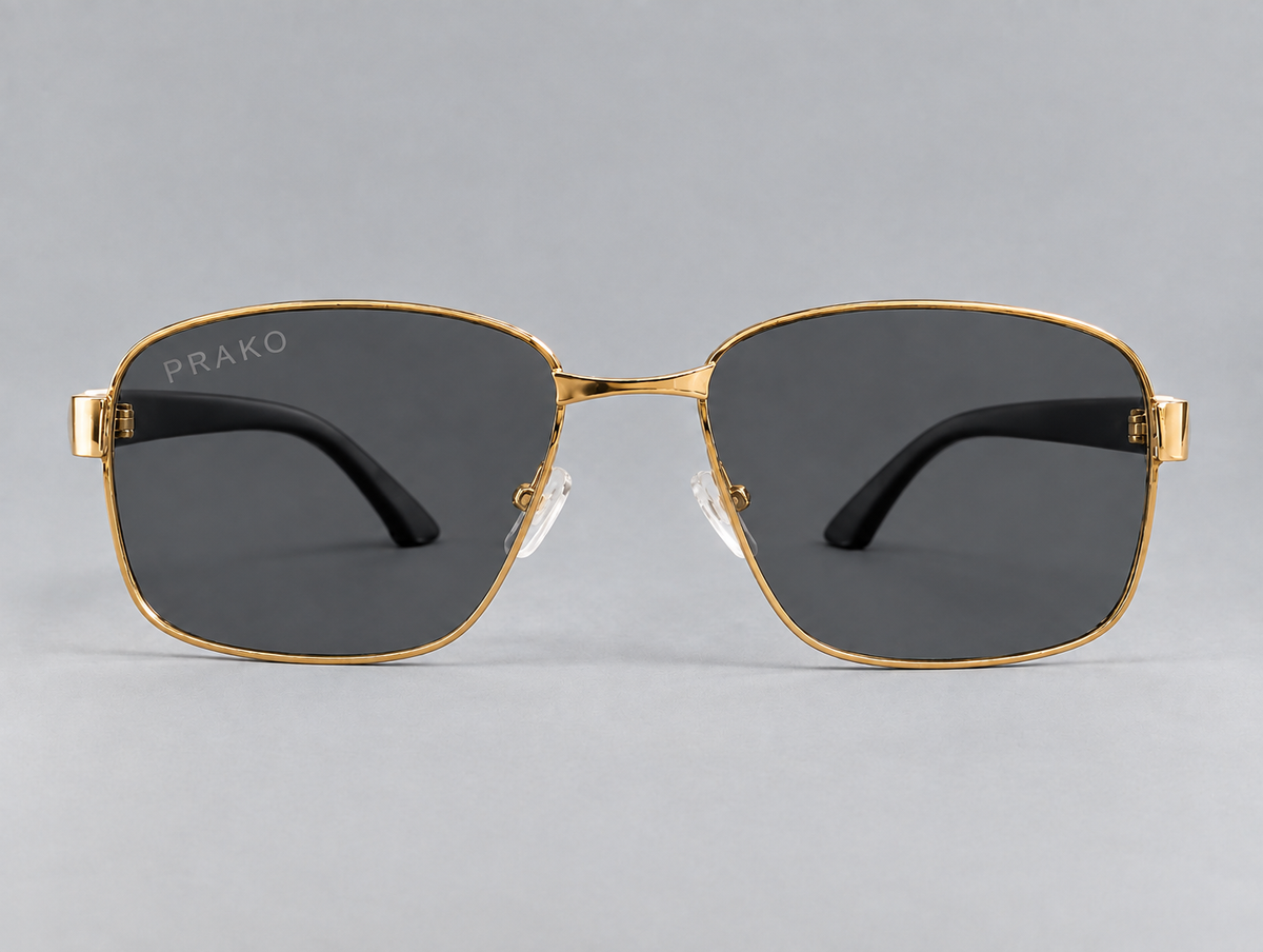 Gafas PRAKO Estilo PS-510V Fotocromática