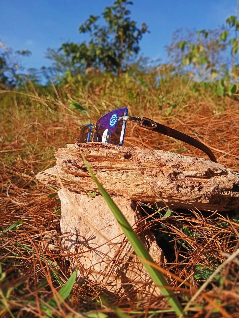 Gafas Legacy Gold - Amaderadas
